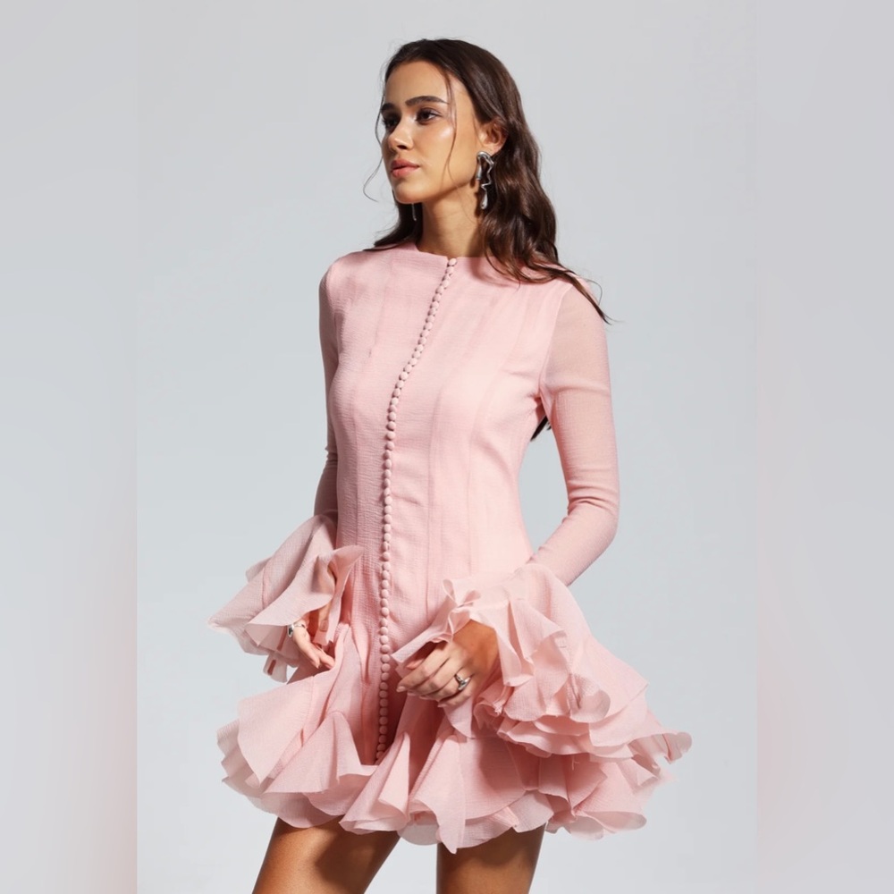 McCarthy Mesh Ruffle
Mini Dress In Pink. Size: Small - Picture 3 of 5